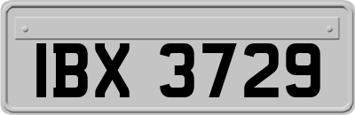 IBX3729