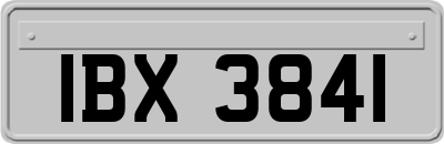 IBX3841