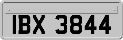 IBX3844
