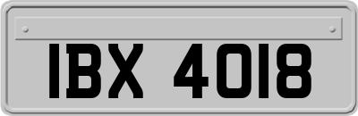 IBX4018