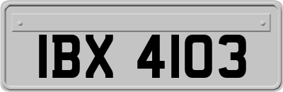 IBX4103