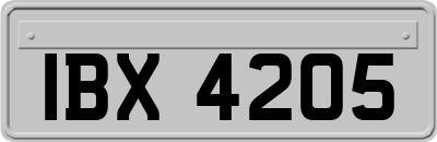 IBX4205