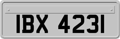 IBX4231