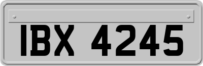 IBX4245