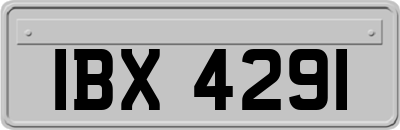 IBX4291