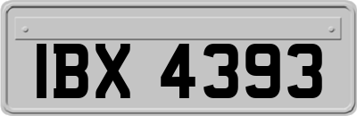 IBX4393