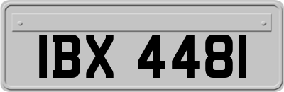 IBX4481