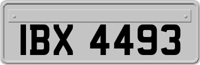IBX4493