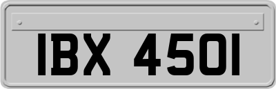 IBX4501
