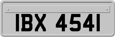 IBX4541