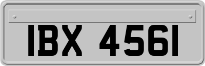 IBX4561