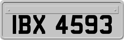 IBX4593
