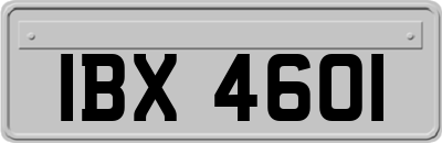 IBX4601