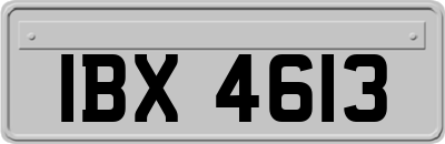 IBX4613