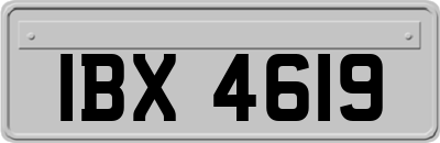 IBX4619