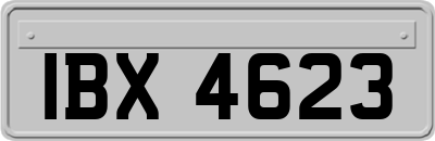 IBX4623