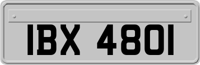 IBX4801