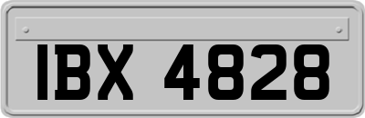 IBX4828