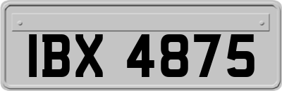 IBX4875