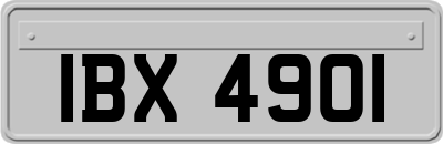 IBX4901