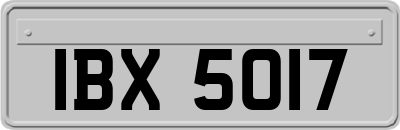 IBX5017