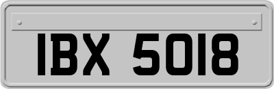 IBX5018