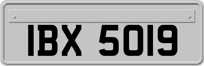 IBX5019