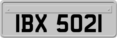 IBX5021