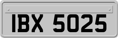 IBX5025