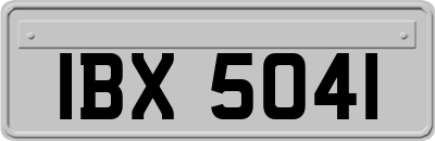 IBX5041
