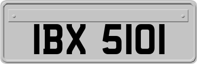 IBX5101