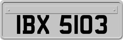 IBX5103