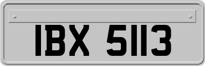 IBX5113