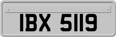 IBX5119