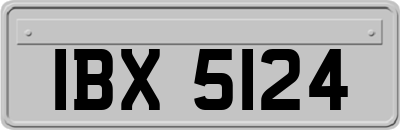 IBX5124
