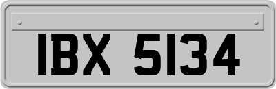 IBX5134