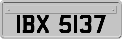IBX5137
