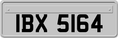 IBX5164