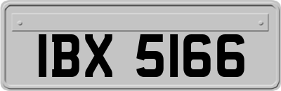 IBX5166