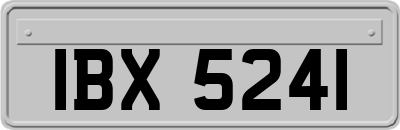 IBX5241