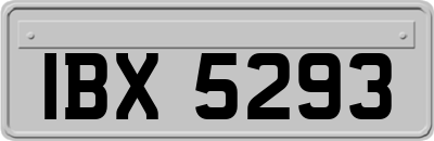 IBX5293