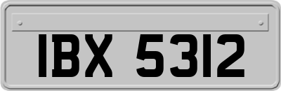 IBX5312