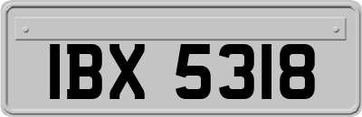 IBX5318