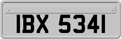 IBX5341