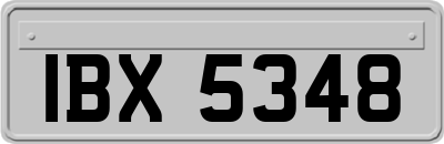 IBX5348
