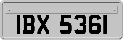 IBX5361