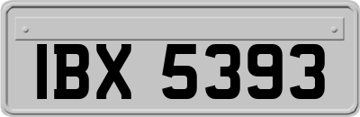 IBX5393