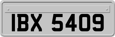 IBX5409
