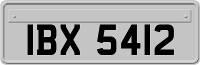 IBX5412