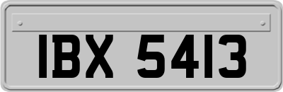 IBX5413